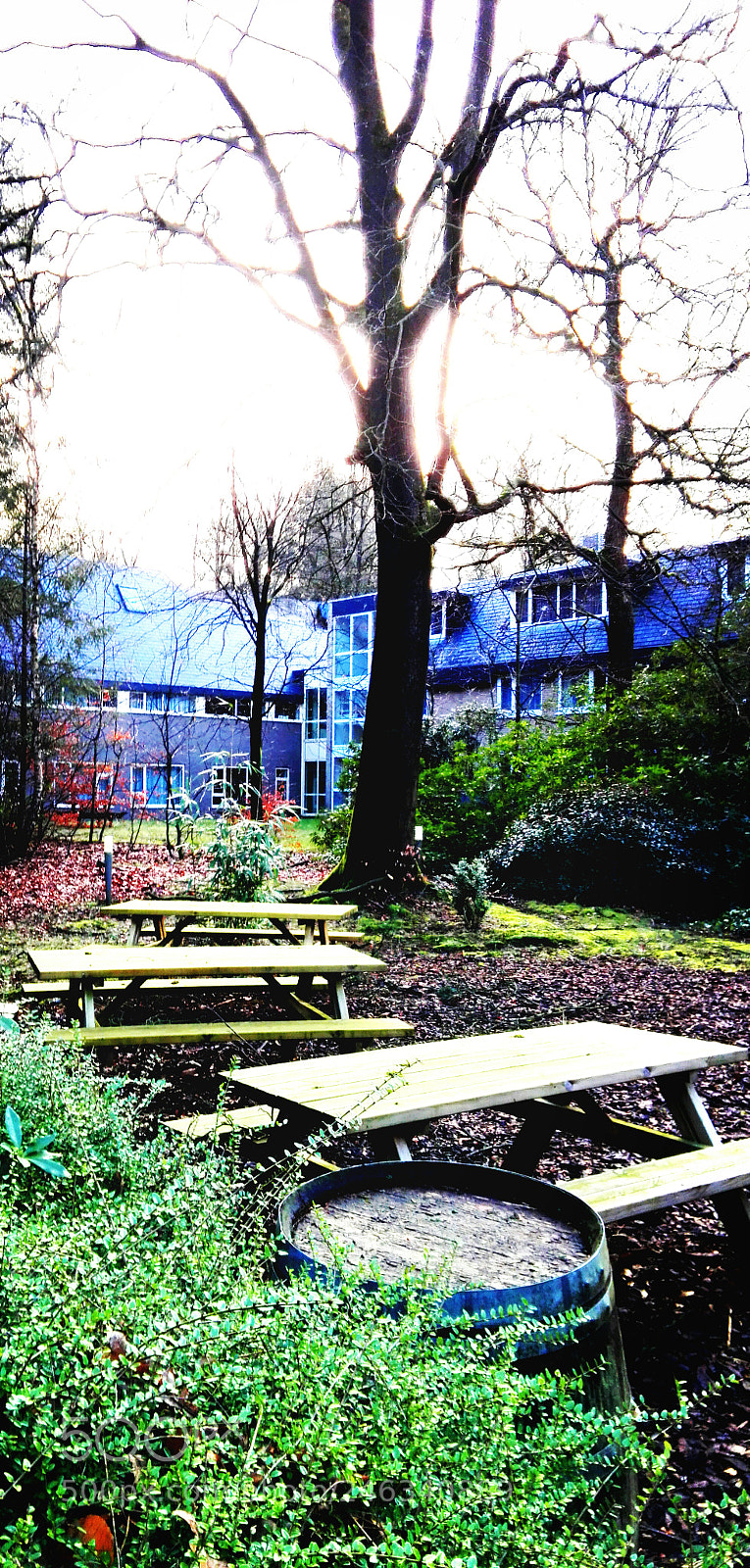 HUAWEI P8 Lite sample photo. Waldorf school zeist photography
