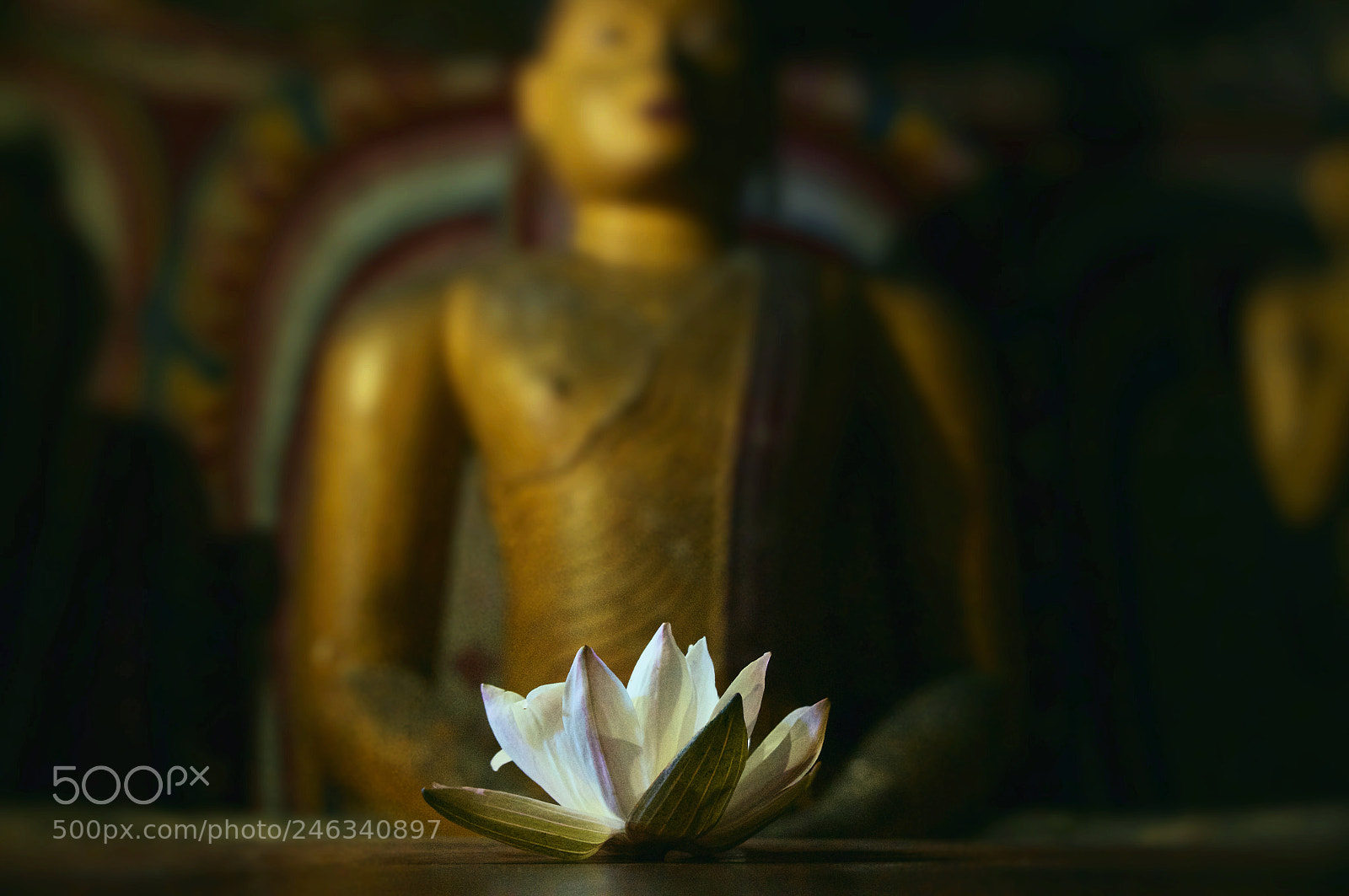 Sony SLT-A37 sample photo. Buddha and lotus flower photography