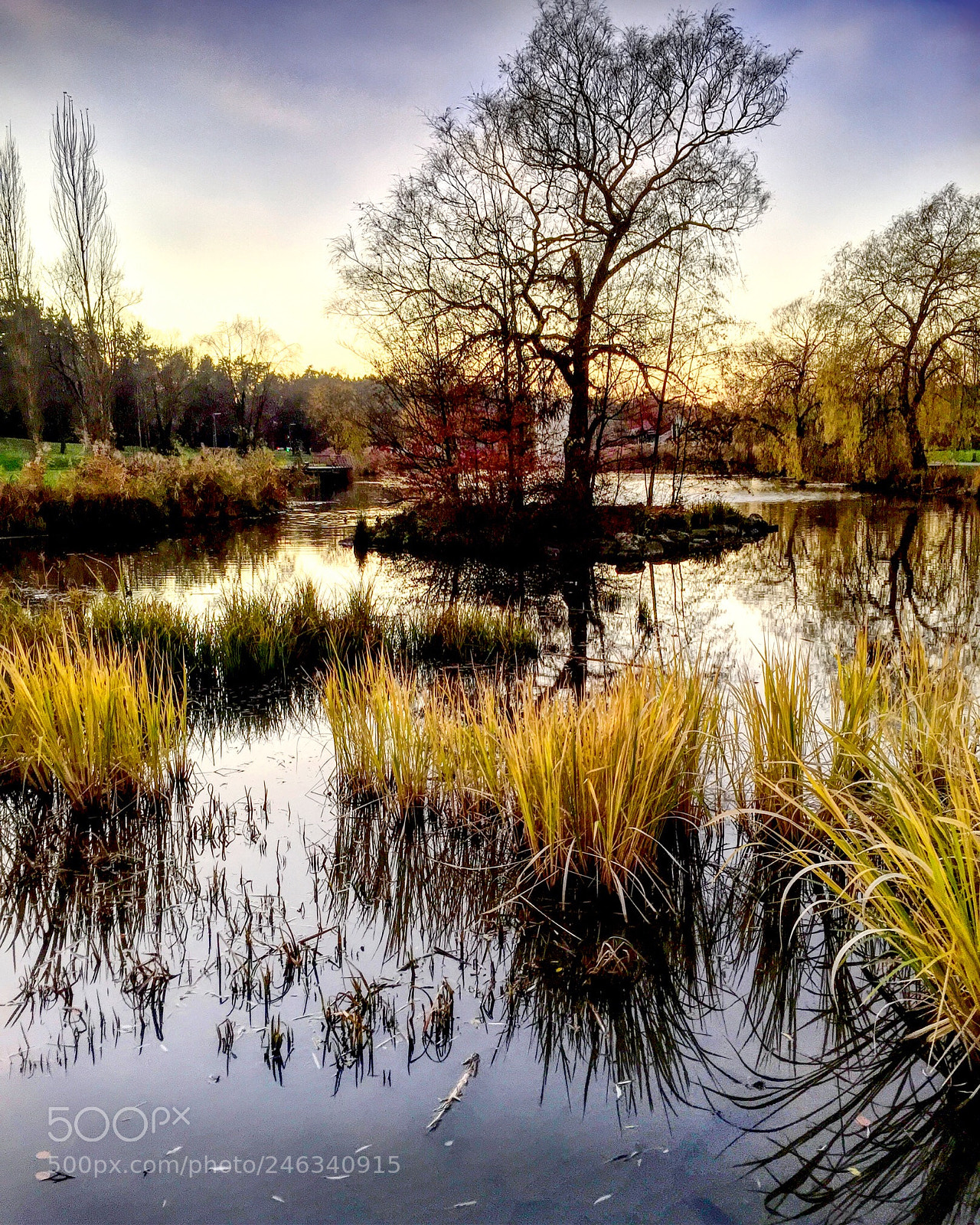 Apple iPhone 6 sample photo. Park in stadtallendorf/hessen photography