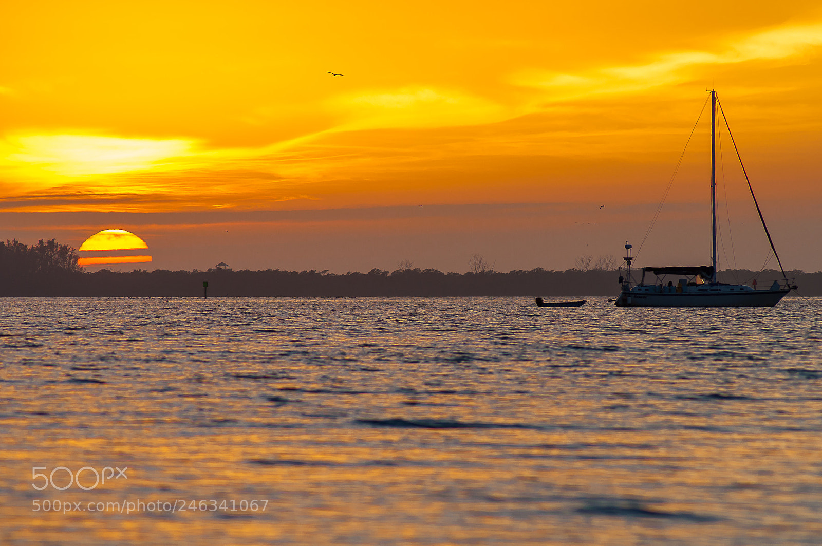 Nikon D5000 sample photo. Sunset boat snead island photography