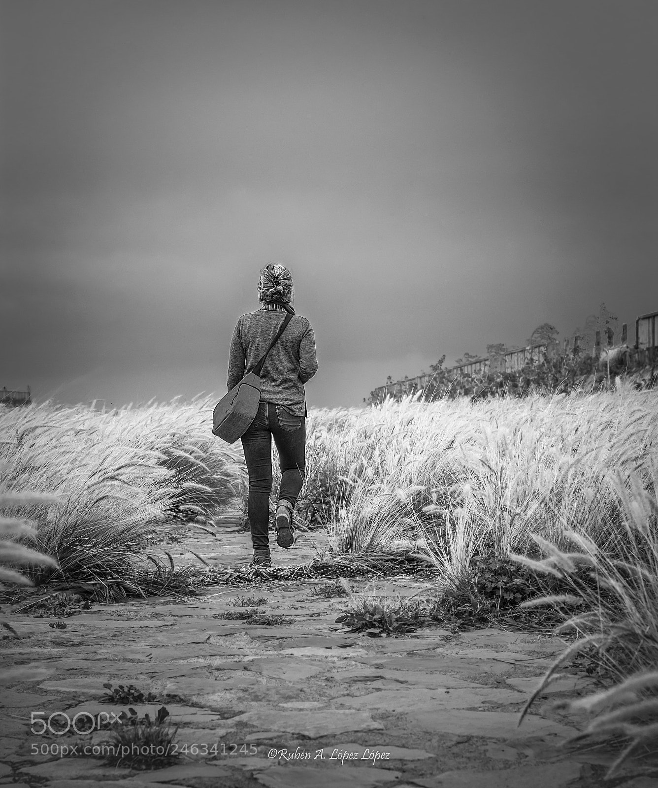 Nikon D7100 sample photo. Busca tu camino photography