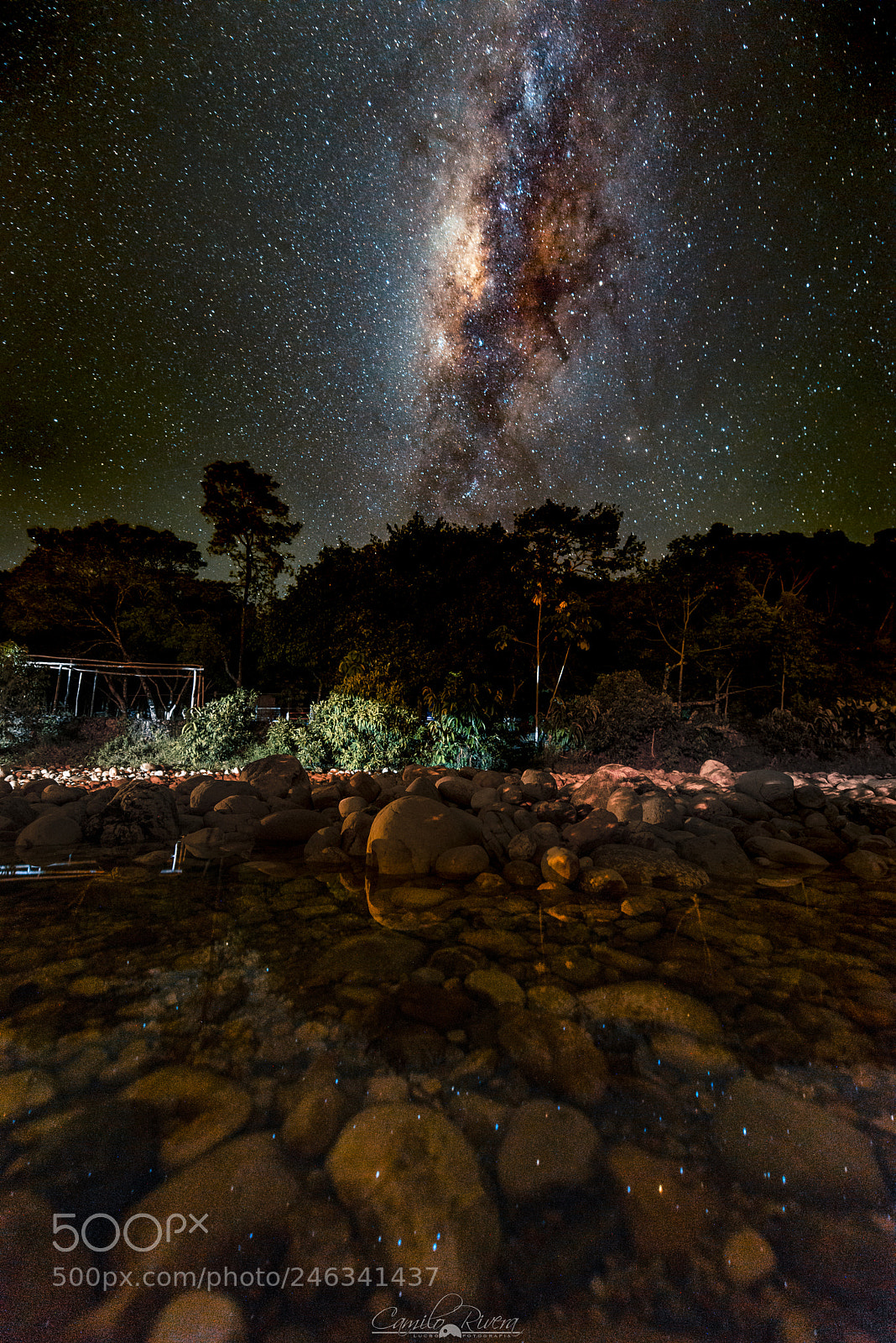 Nikon D810 sample photo. Stars reflections... photography