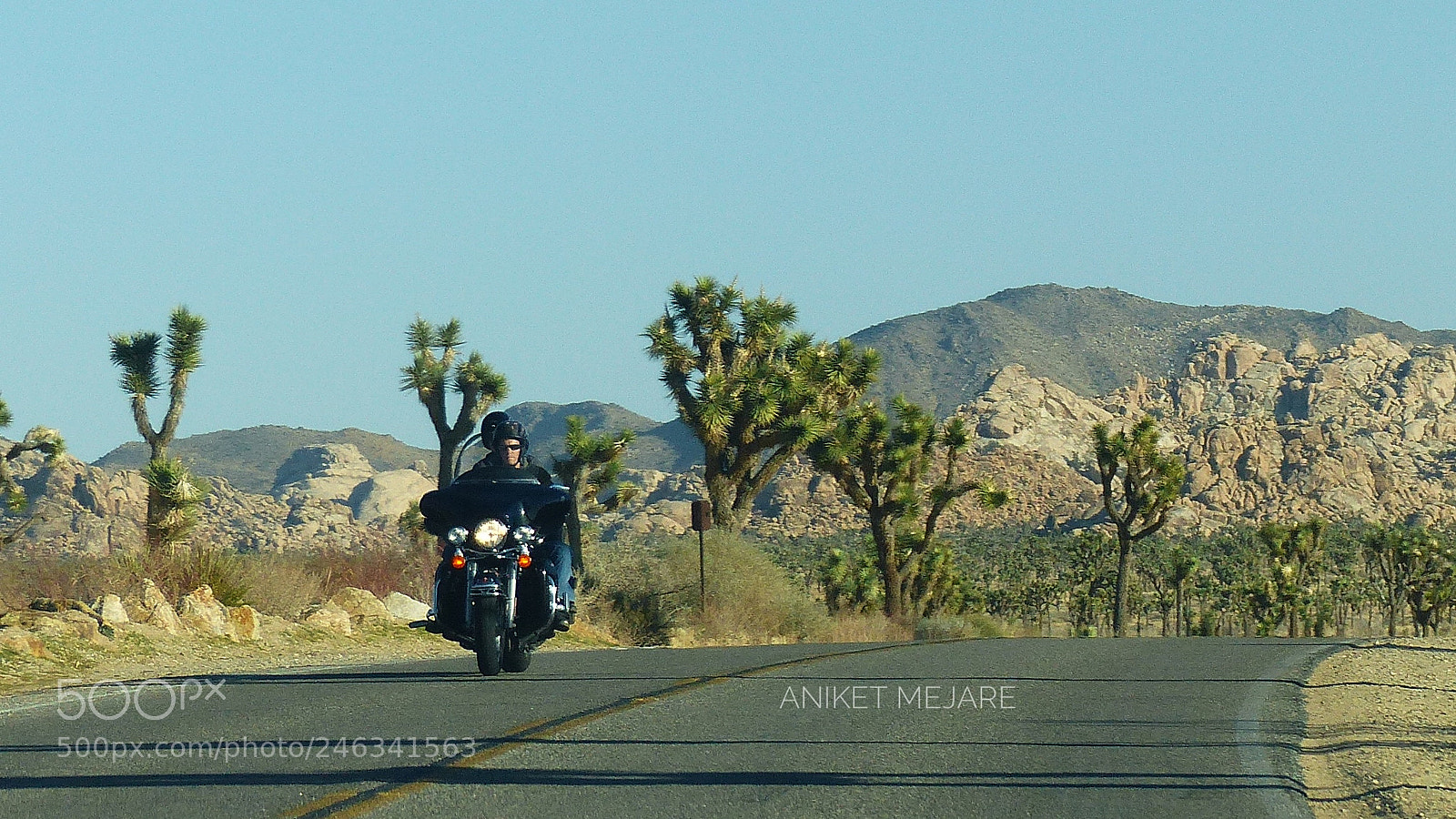 Panasonic Lumix DMC-FZ200 sample photo. Cruising along the desert photography