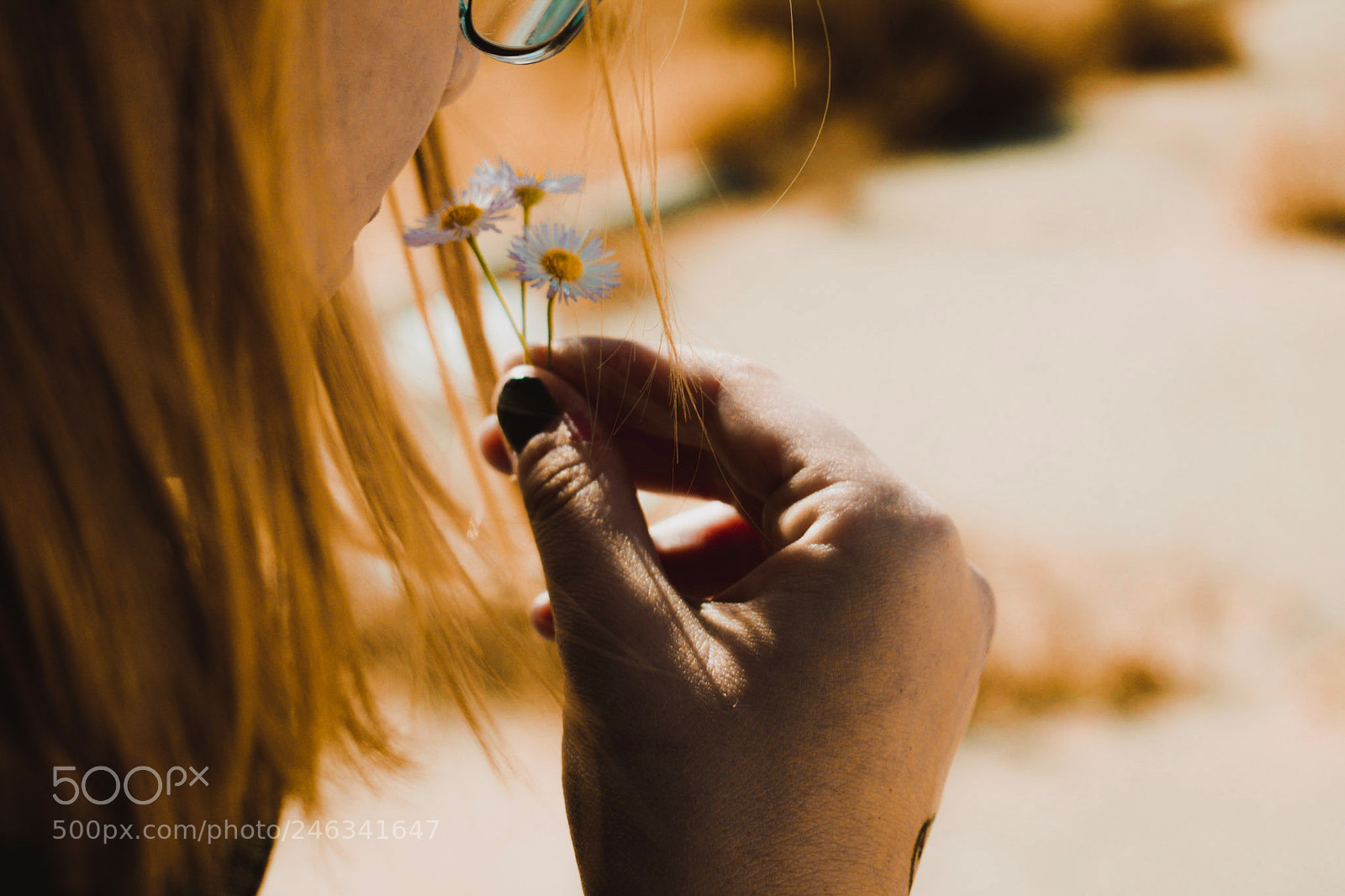 Nikon D3400 sample photo. Untitled photography