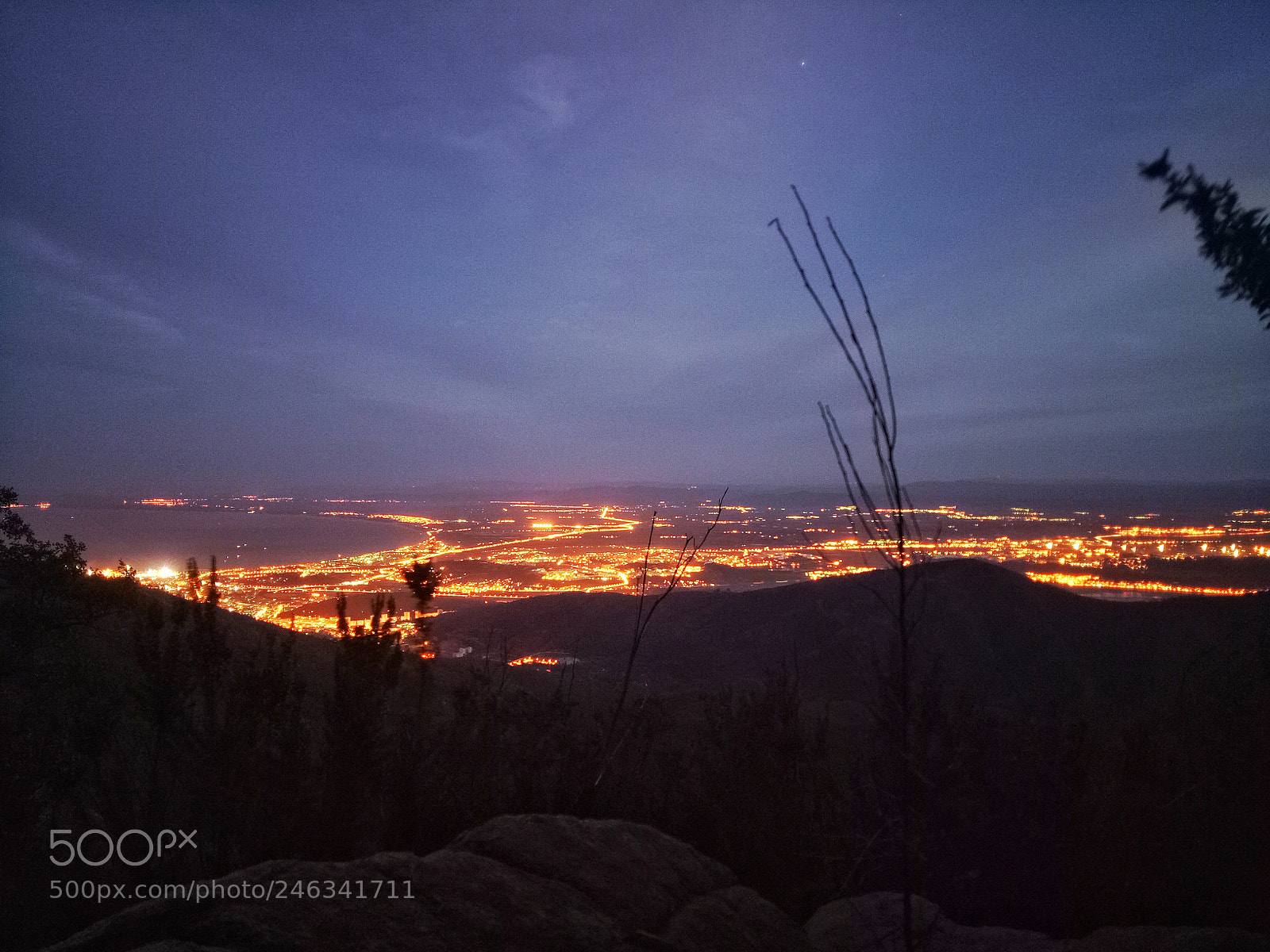 OPPO A1601 sample photo. Annaba by night photography
