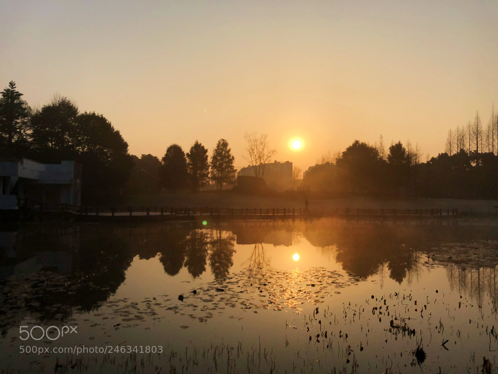 Apple iPhone X sample photo. 新年新气象 photography