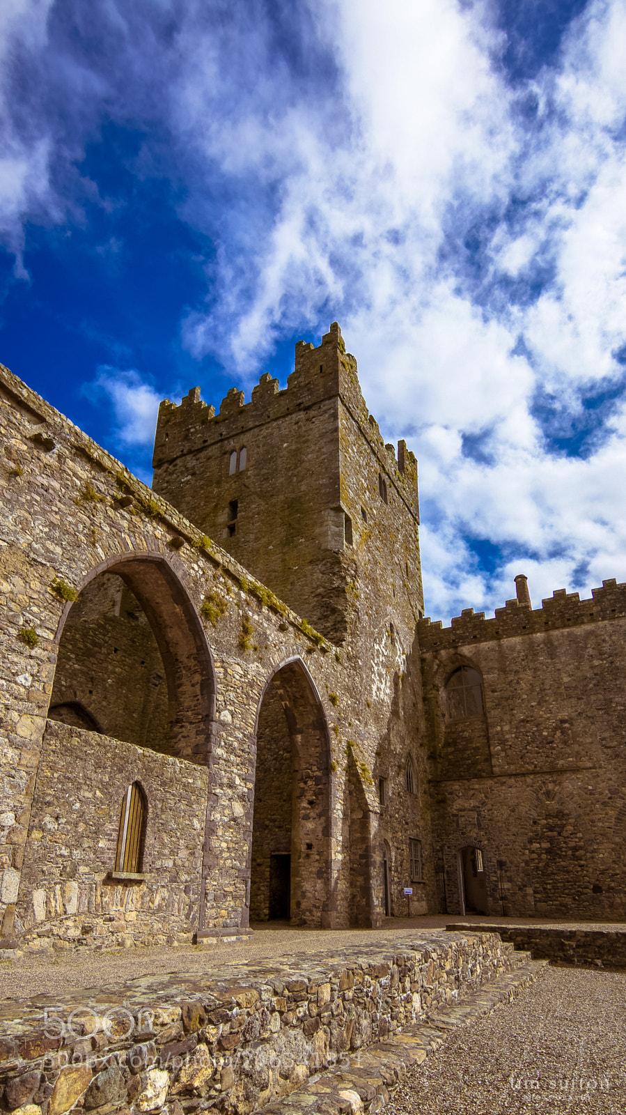 Sony SLT-A55 (SLT-A55V) sample photo. Tintern abbey photography