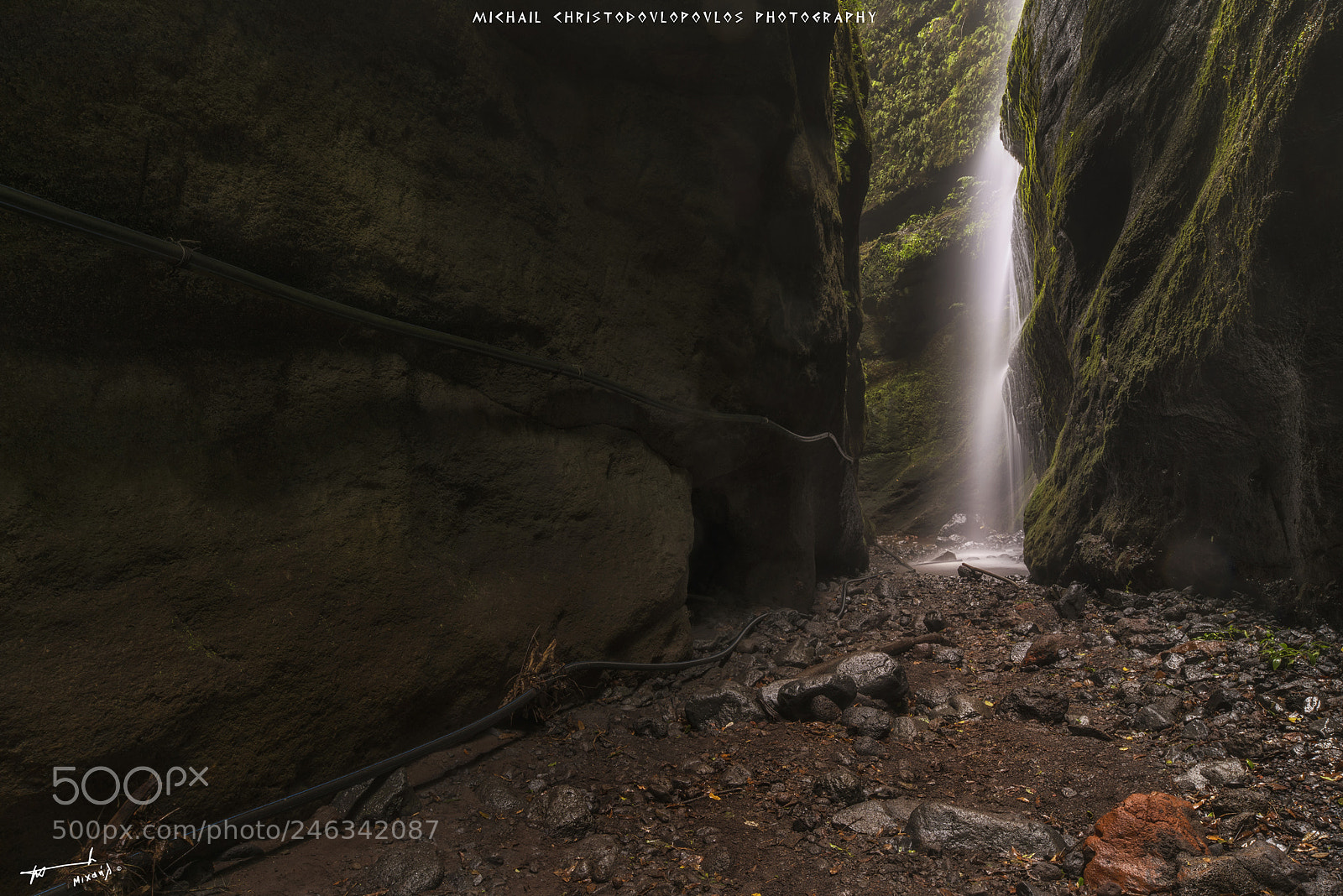 Nikon D810 sample photo. Los tilos (la palma) photography