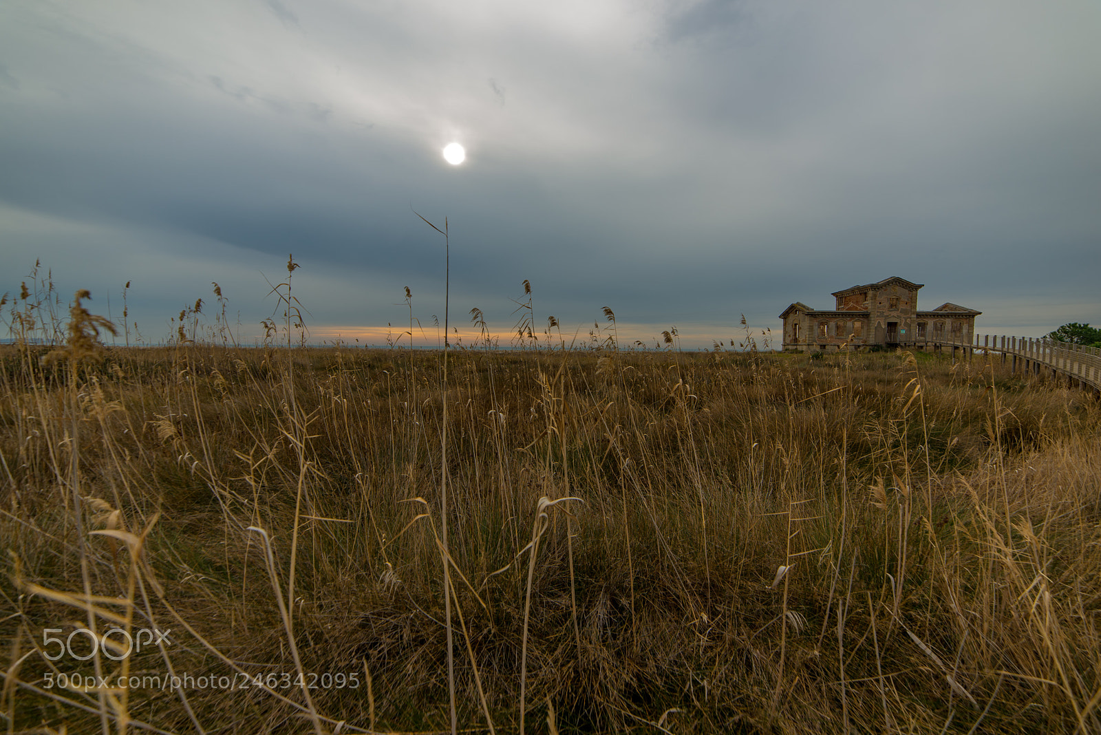Nikon D610 sample photo. Casa del semaforo prat photography