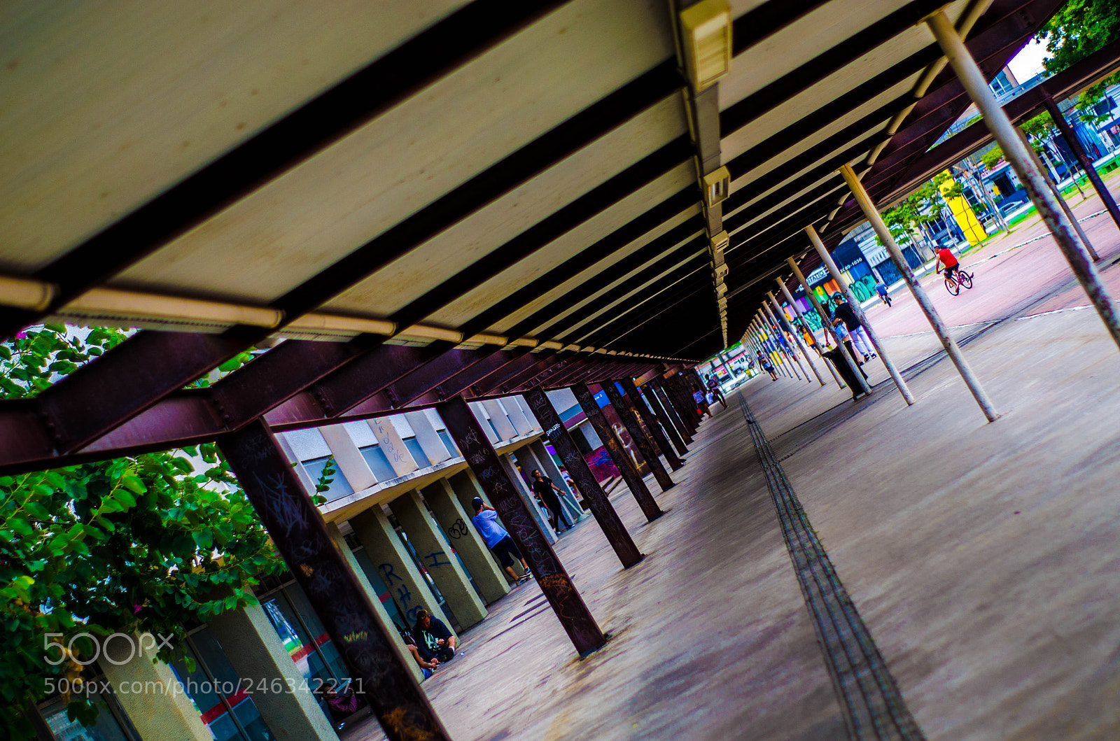 Nikon D5100 sample photo. Lines photography