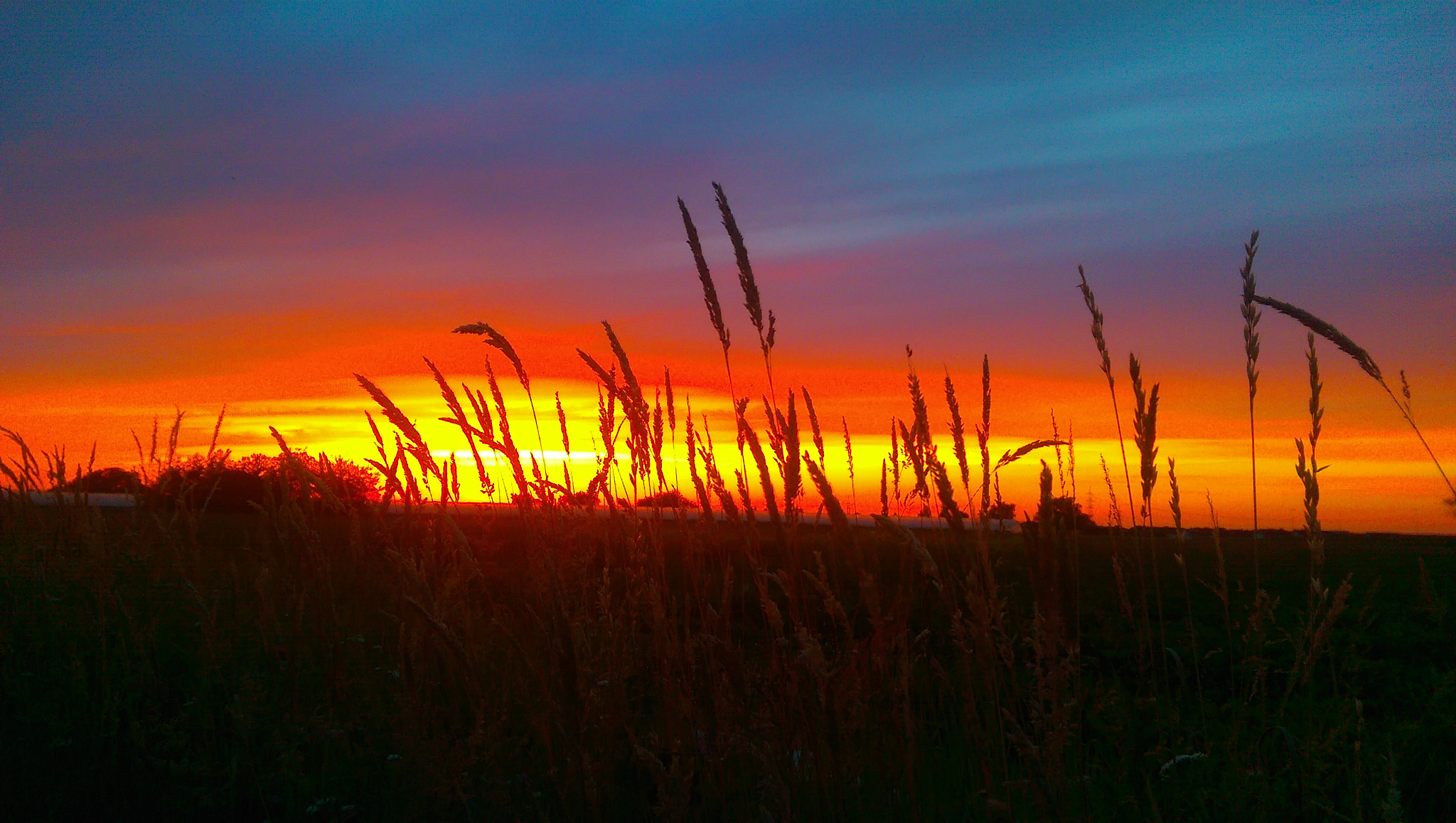 HTC ONE M8 sample photo