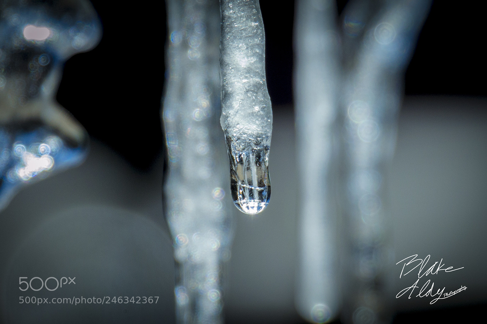 Nikon D3200 sample photo. Ice photography