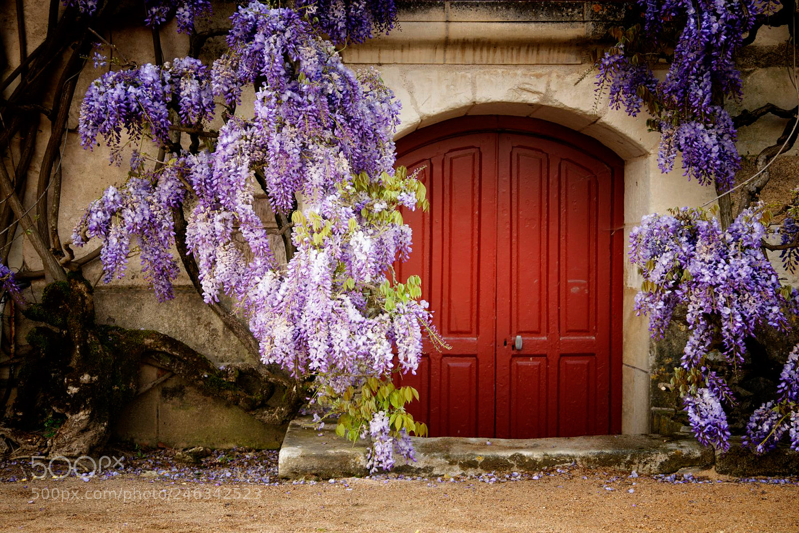 Nikon D300 sample photo. Gardener's delight photography