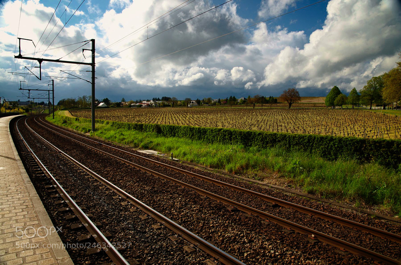 Nikon D300 sample photo. Tracks photography