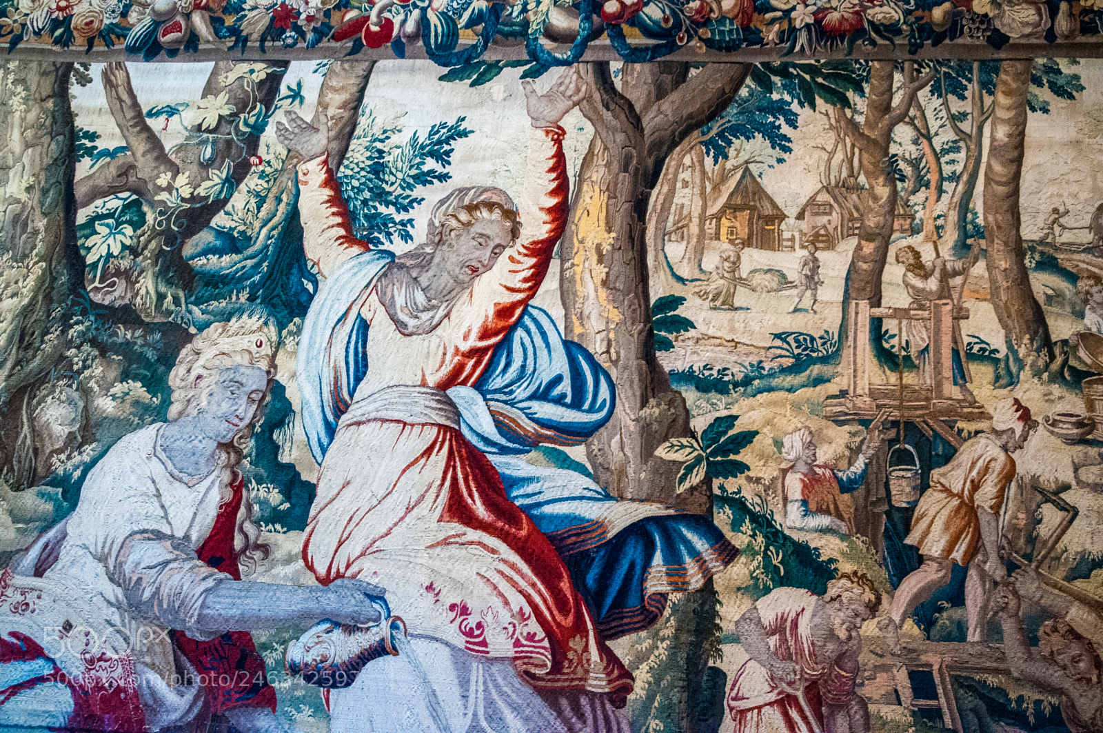 Nikon D300 sample photo. Tapestry of life photography