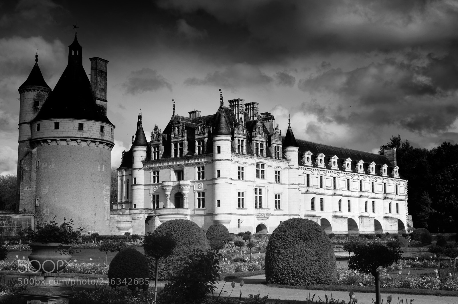Nikon D300 sample photo. Chateau photography