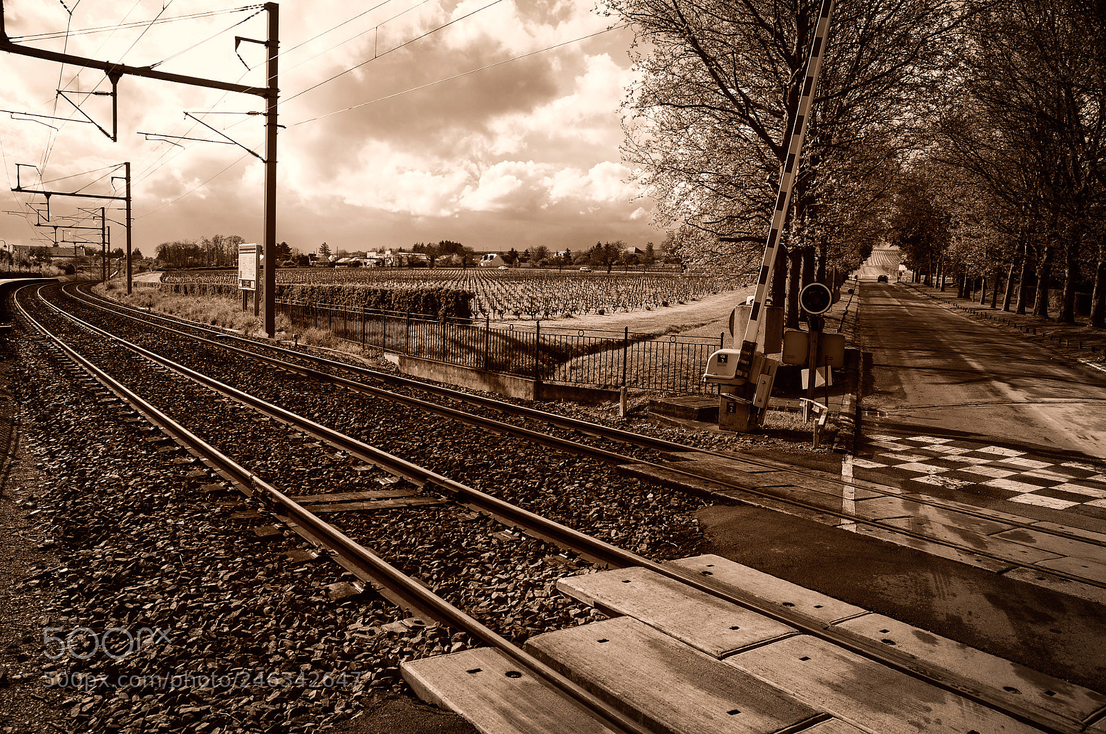 Nikon D300 sample photo. Tracks photography