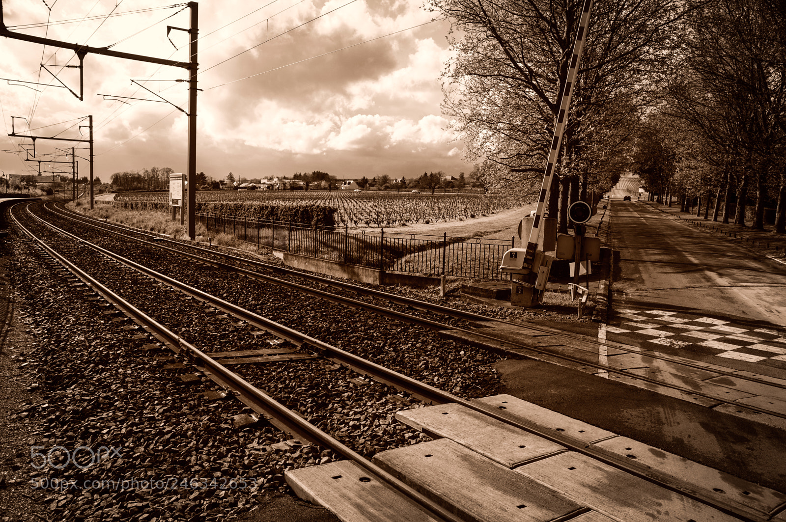 Nikon D300 sample photo. Tracks photography