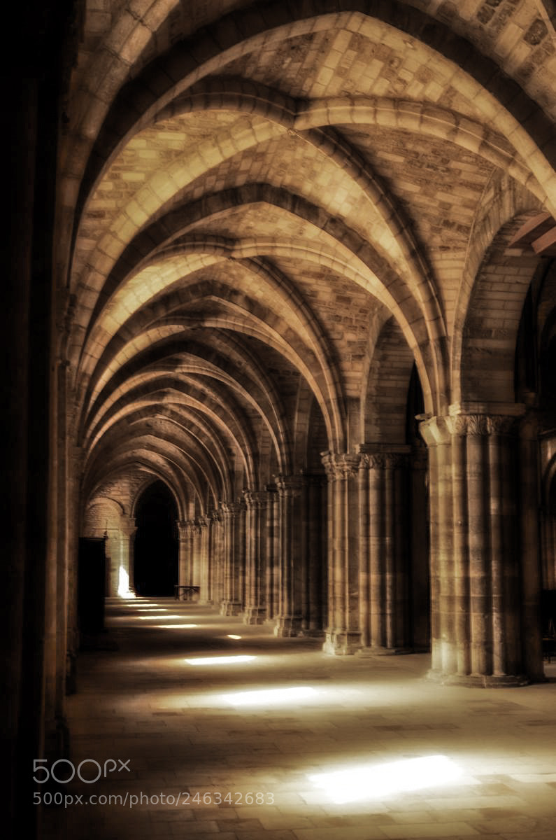 Nikon D300 sample photo. Cathedral photography
