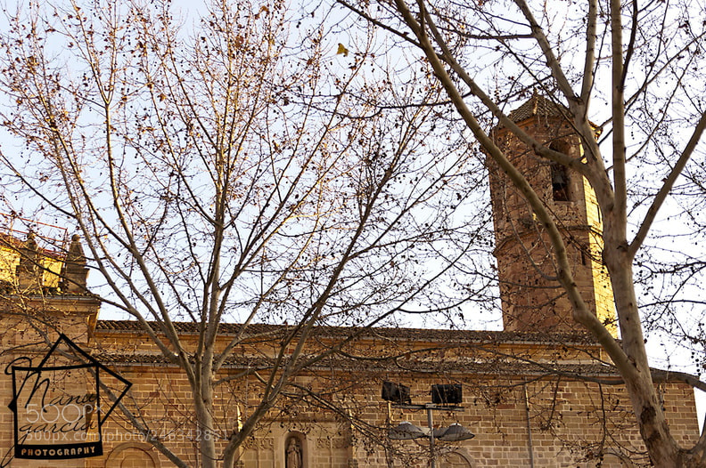 Nikon D90 sample photo. Santa maría photography