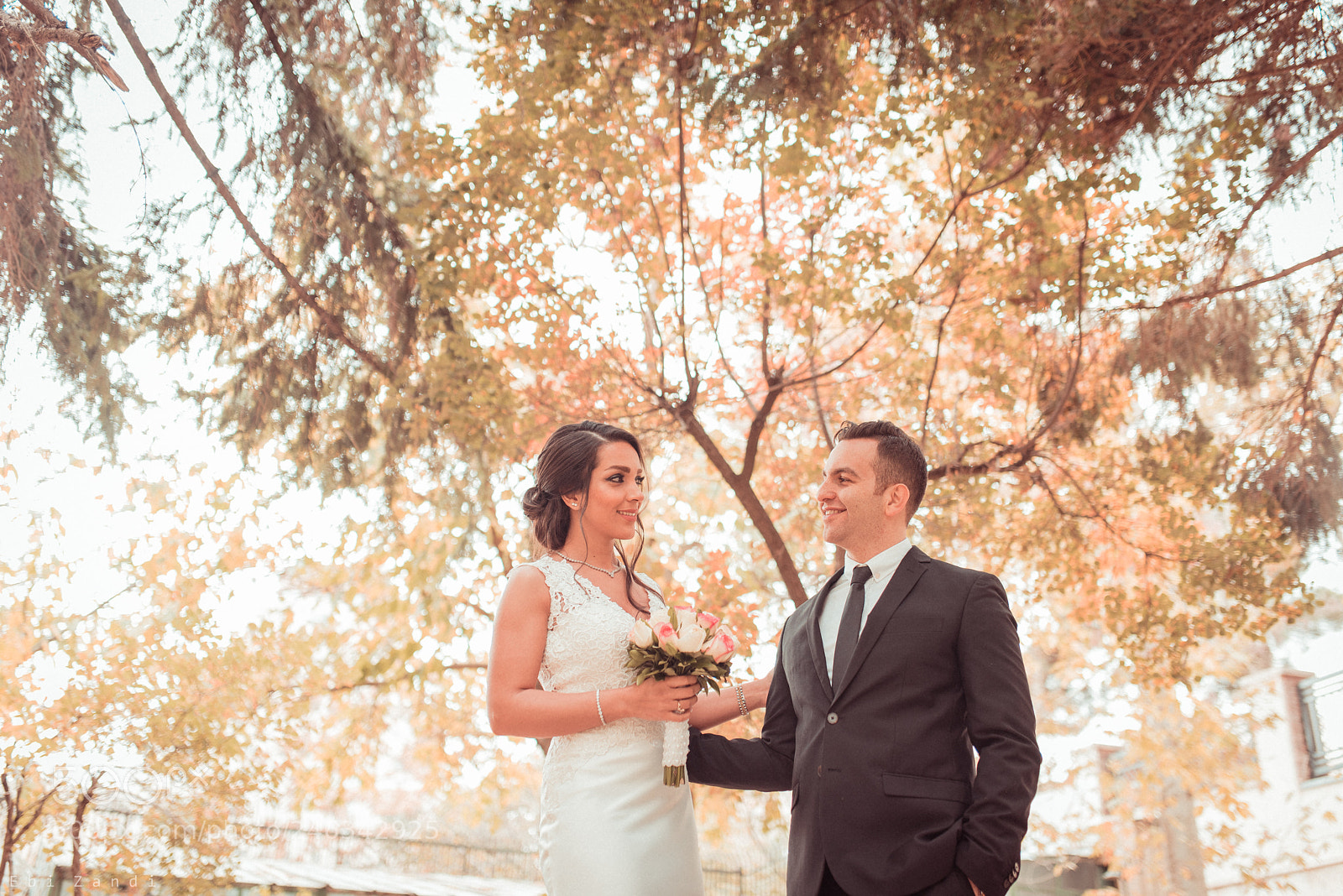 Nikon D810 sample photo. The tree photography