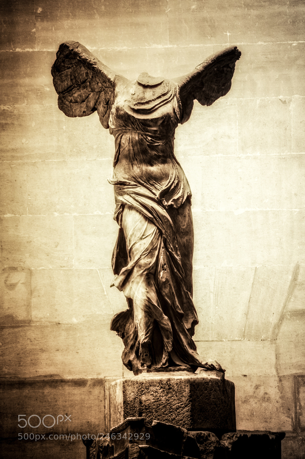 Nikon D300 sample photo. Wings of nike photography