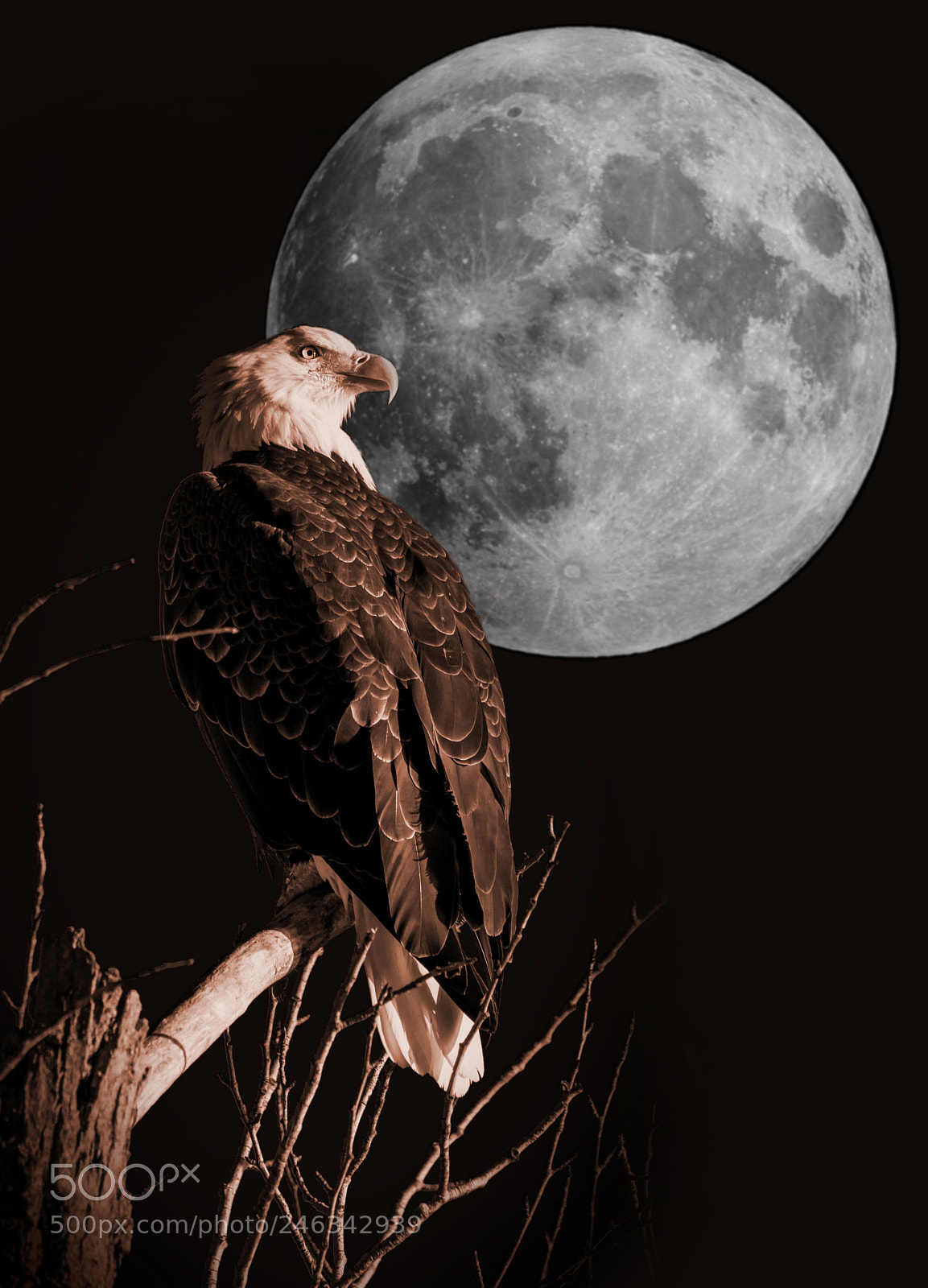 Nikon D7200 sample photo. Moon glow photography