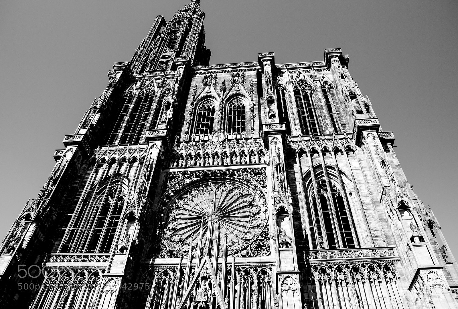 Nikon D300 sample photo. Notre dame photography