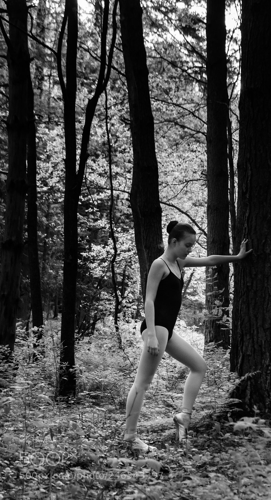 Sony SLT-A65 (SLT-A65V) sample photo. Balerina photography