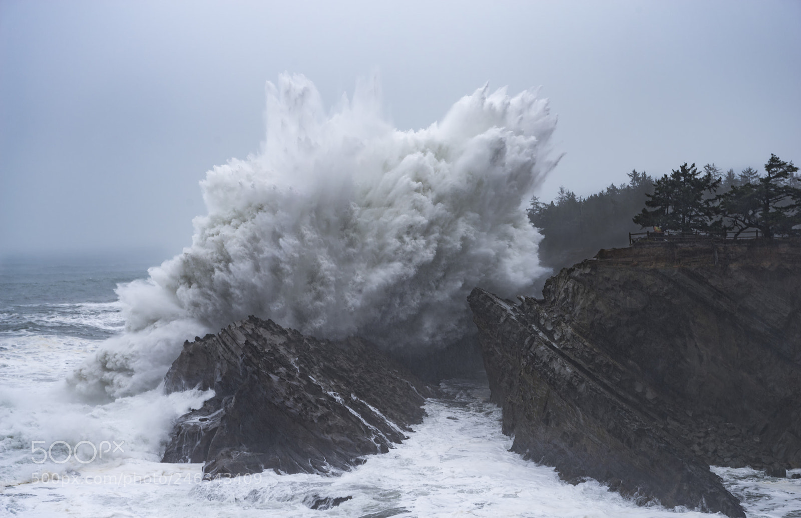 Pentax K-1 sample photo. Shore acre waves photography