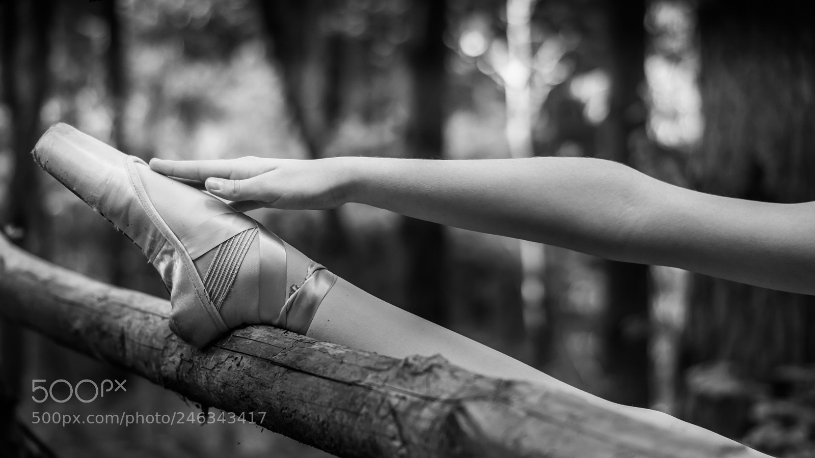 Sony SLT-A65 (SLT-A65V) sample photo. Balerina photography