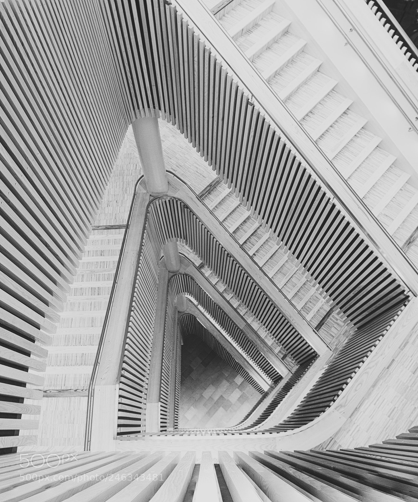 Nikon D610 sample photo. Stairs and lines photography