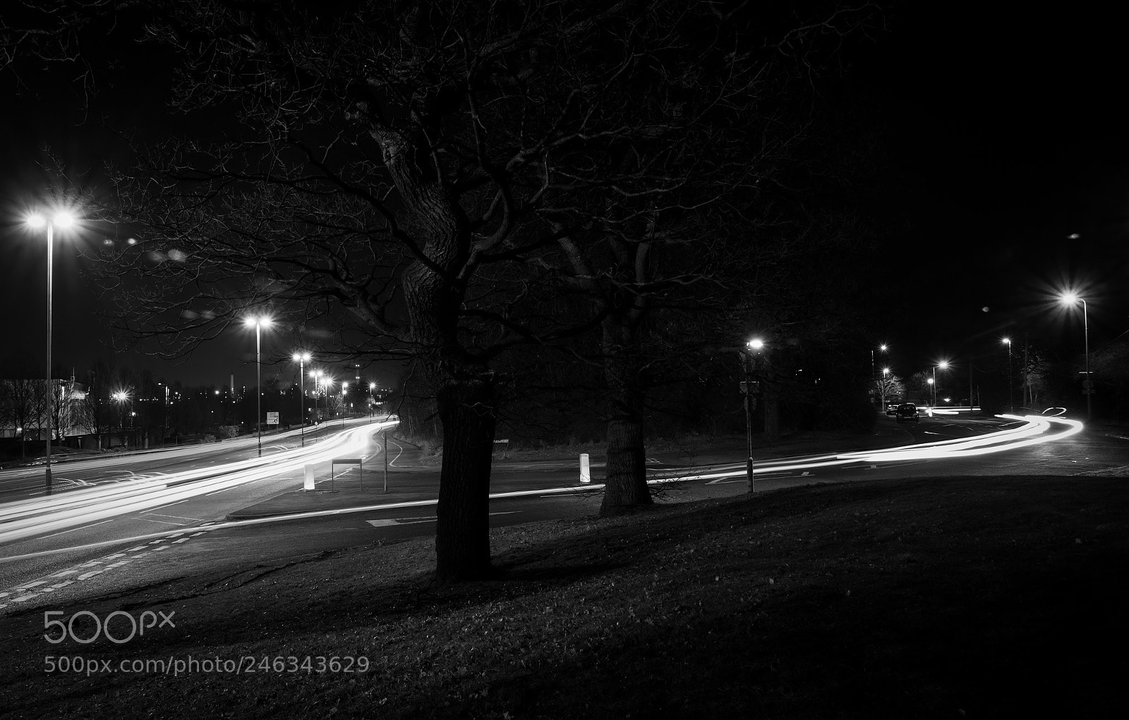 Canon EOS 650D (EOS Rebel T4i / EOS Kiss X6i) sample photo. Cheshire oaks lights (47/365) photography