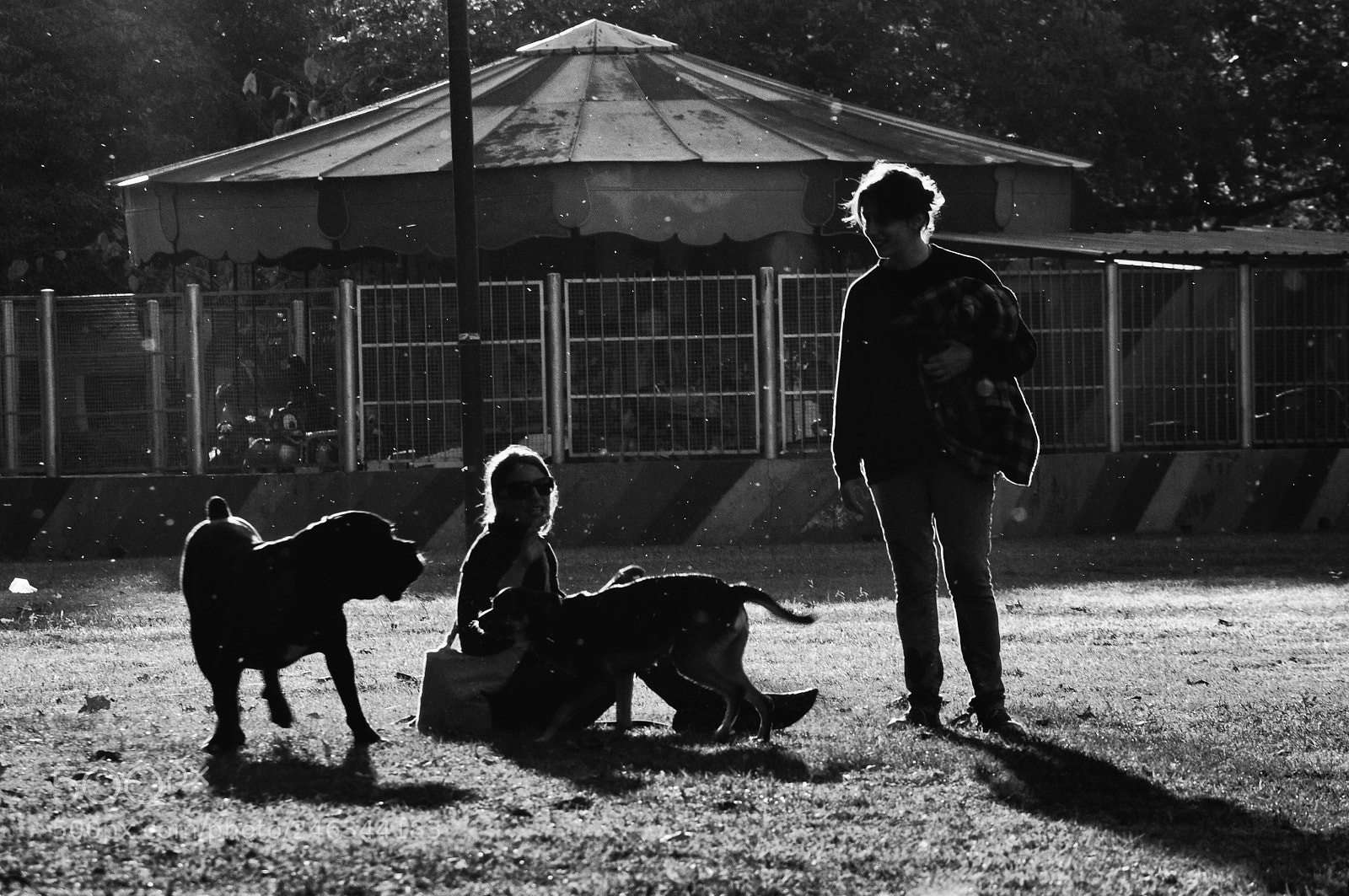 Nikon D5000 sample photo. Passing by photography