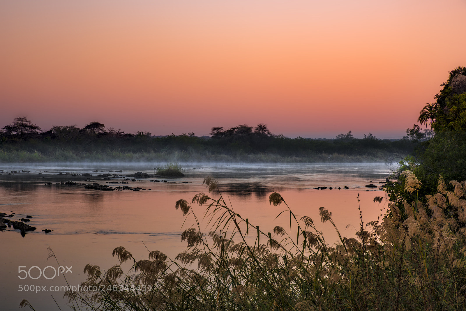 Nikon D810 sample photo. Okavango dawn photography