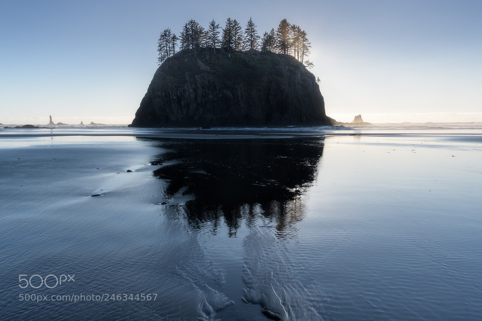 Nikon D500 sample photo. Second beach, winter afternoon photography