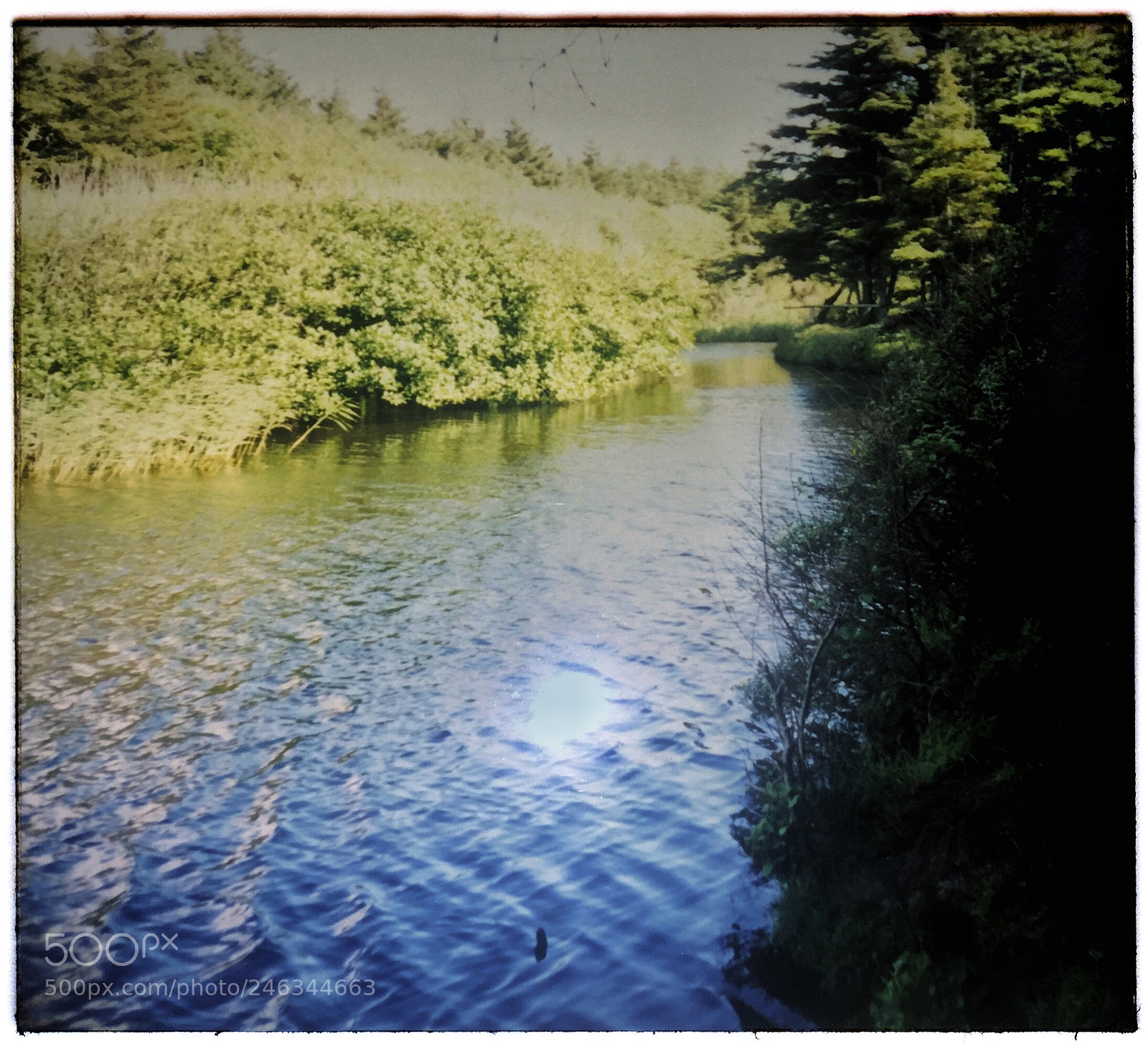 Apple iPhone 6 sample photo. The river wild photography