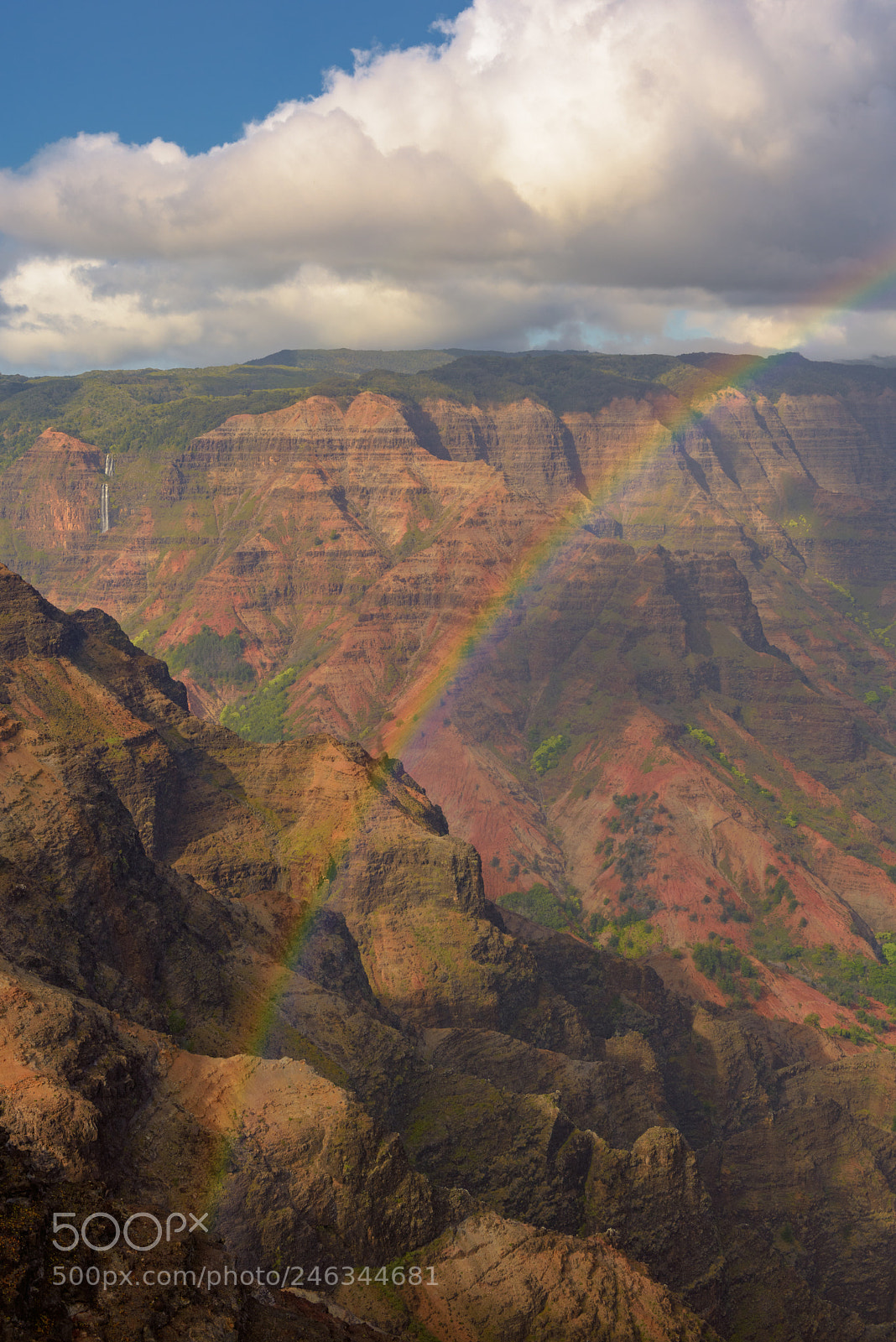 Nikon D810 sample photo. Waimea canyon rainbow photography