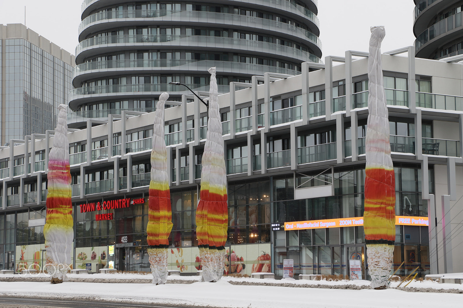 Canon EOS 7D Mark II sample photo. City trees in winter photography