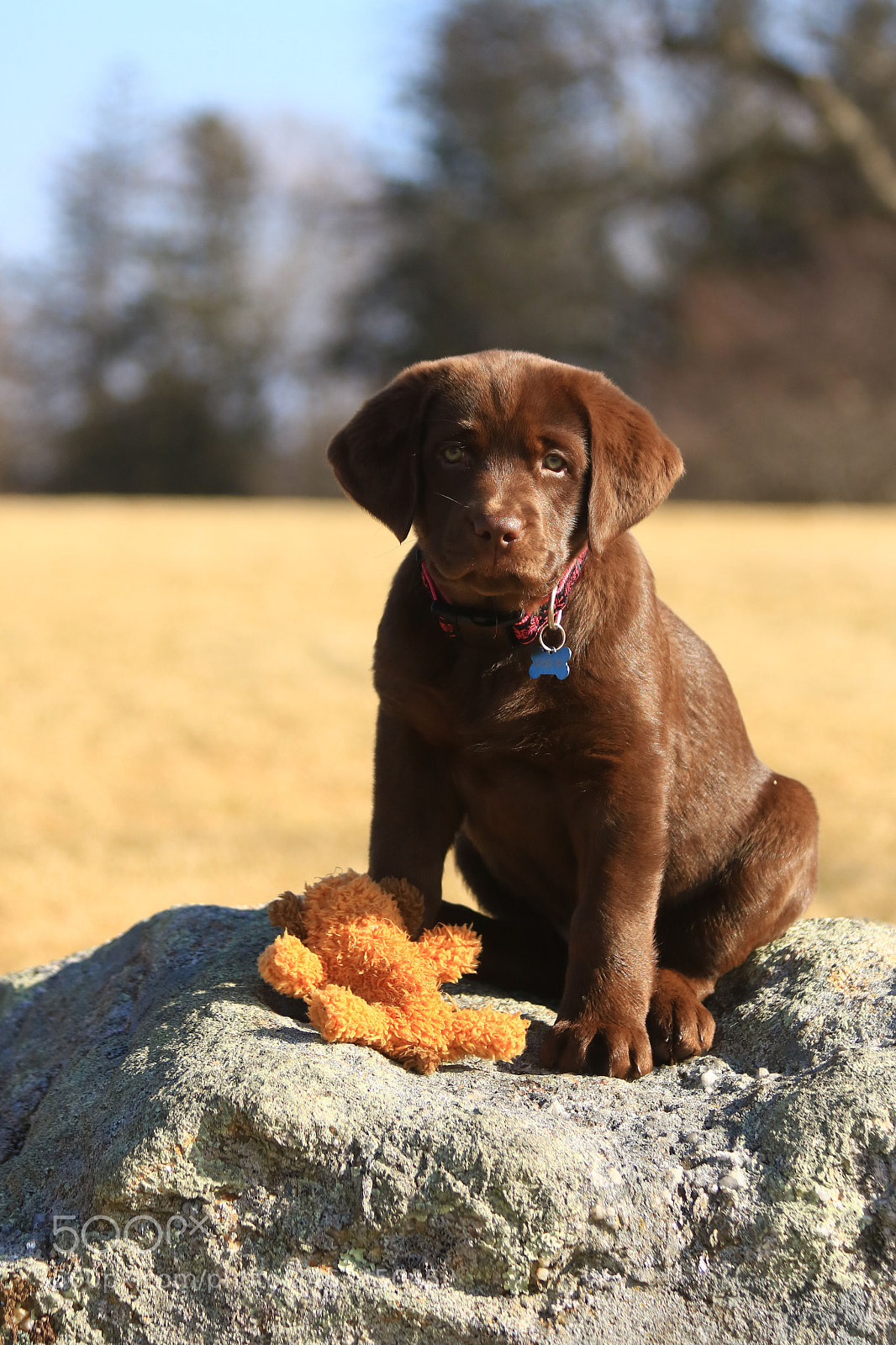 Canon EOS 750D (EOS Rebel T6i / EOS Kiss X8i) sample photo. Sitting with her a photography