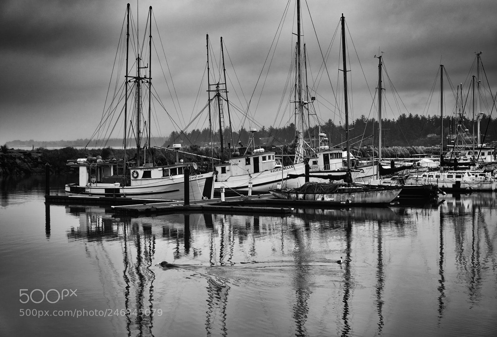 Pentax K-1 sample photo. Charleston bay marina photography