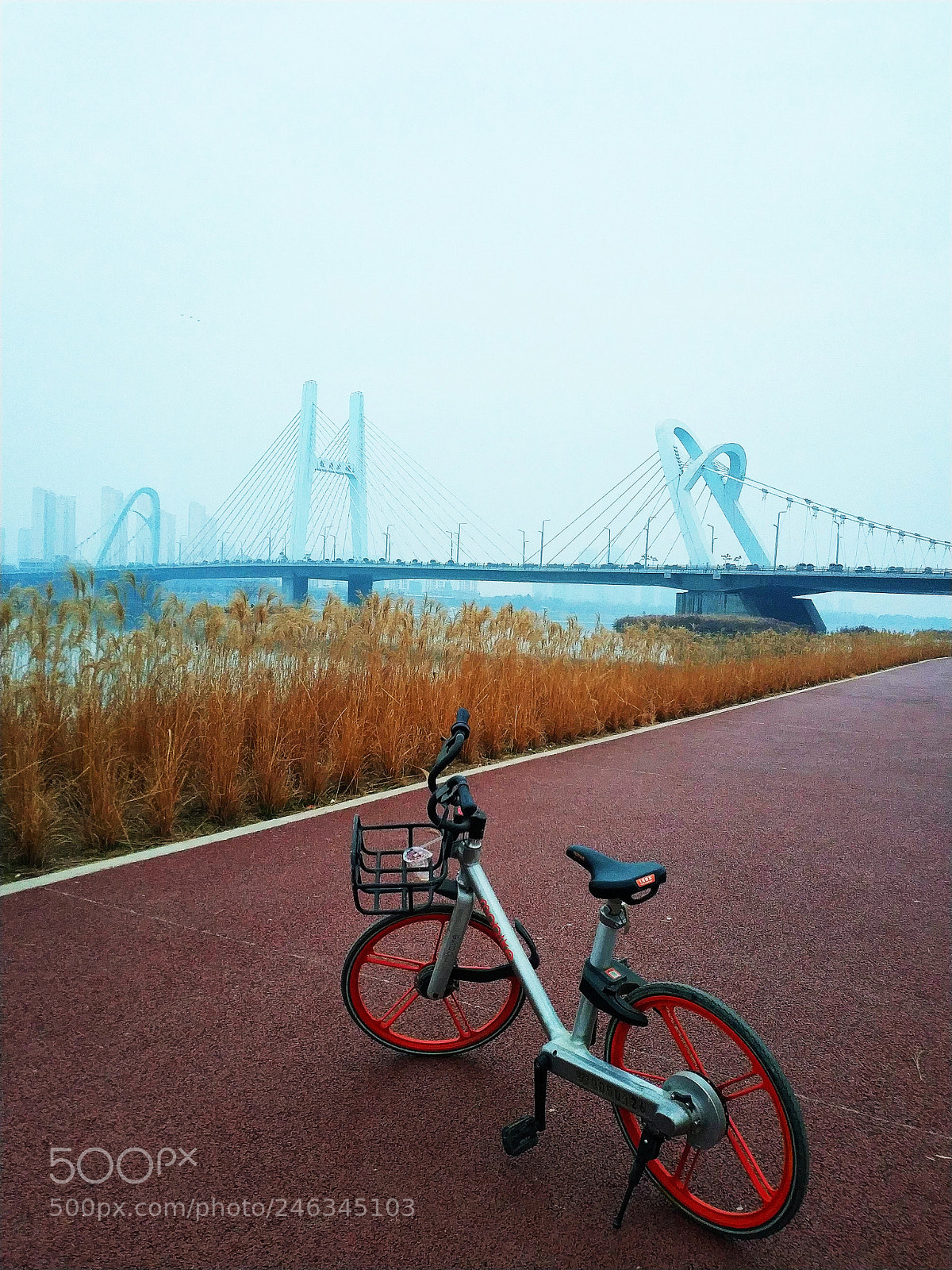 Xiaomi MIX 2 sample photo. Mobike & bridge of river photography