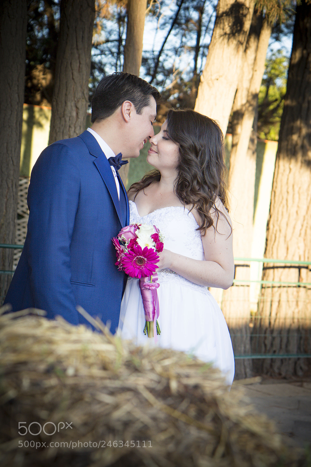 Canon EOS 100D (EOS Rebel SL1 / EOS Kiss X7) sample photo. Fabiola & gustavo photography