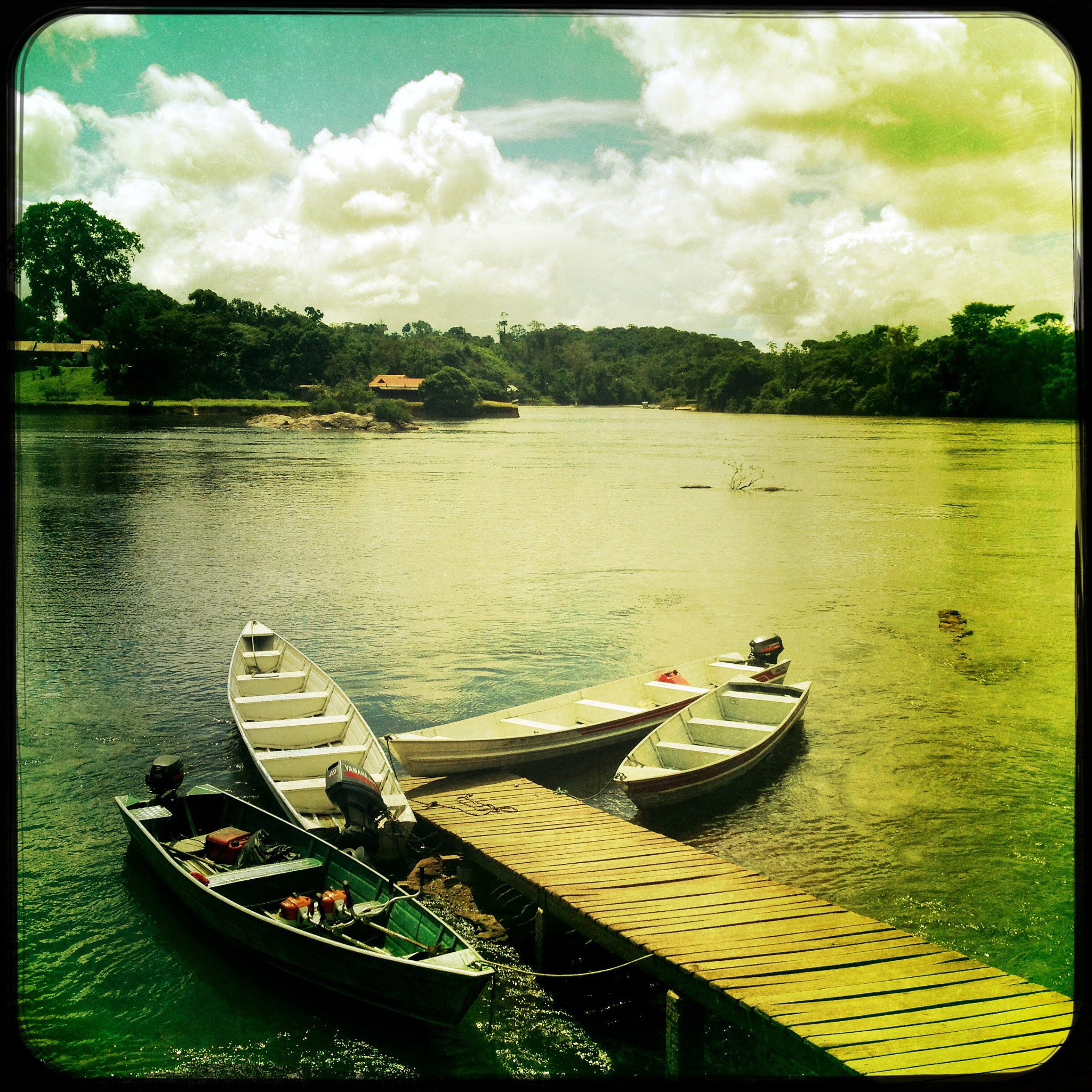 Hipstamatic 332 sample photo. Quiet morning in amazonia 03 photography