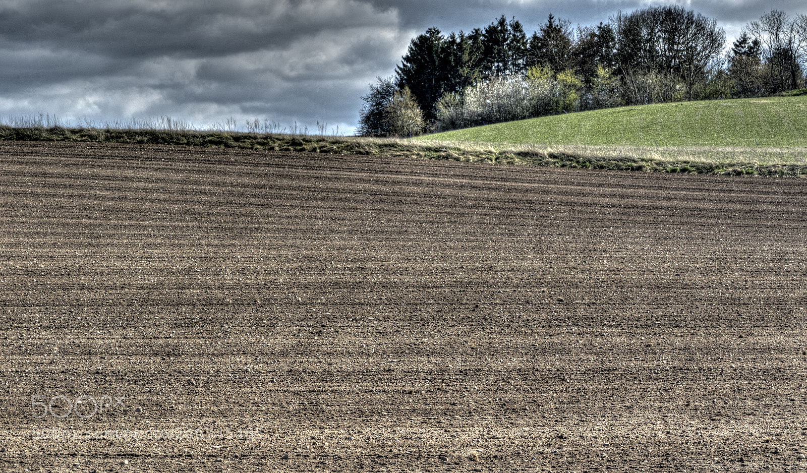 Canon EOS 7D Mark II sample photo. The danish mould photography