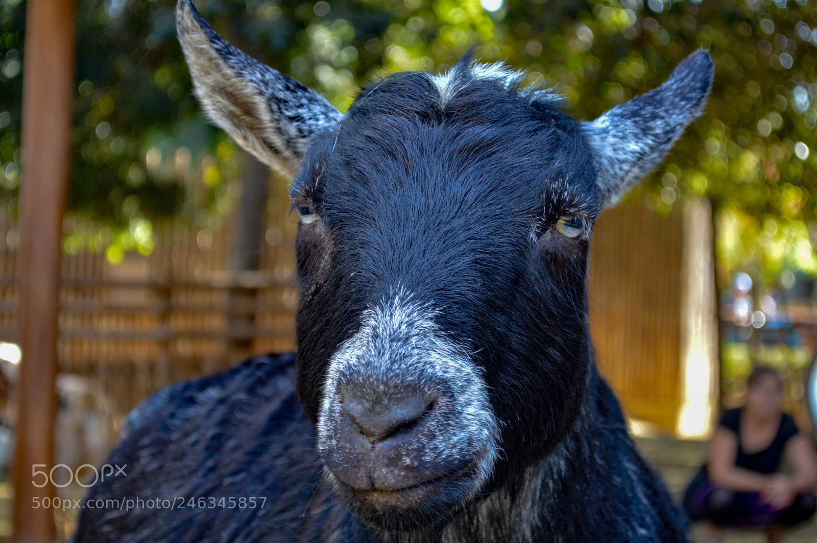 Nikon D3200 sample photo. Just another day photography
