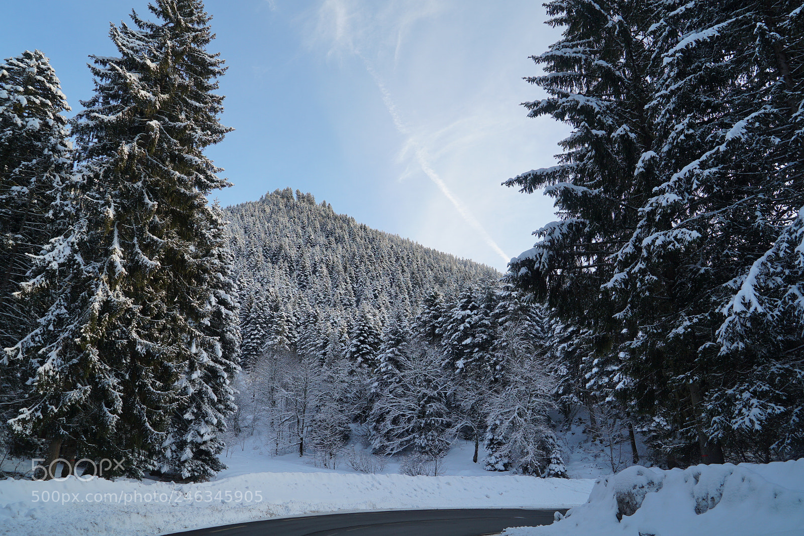Sony a7S sample photo. ? photography