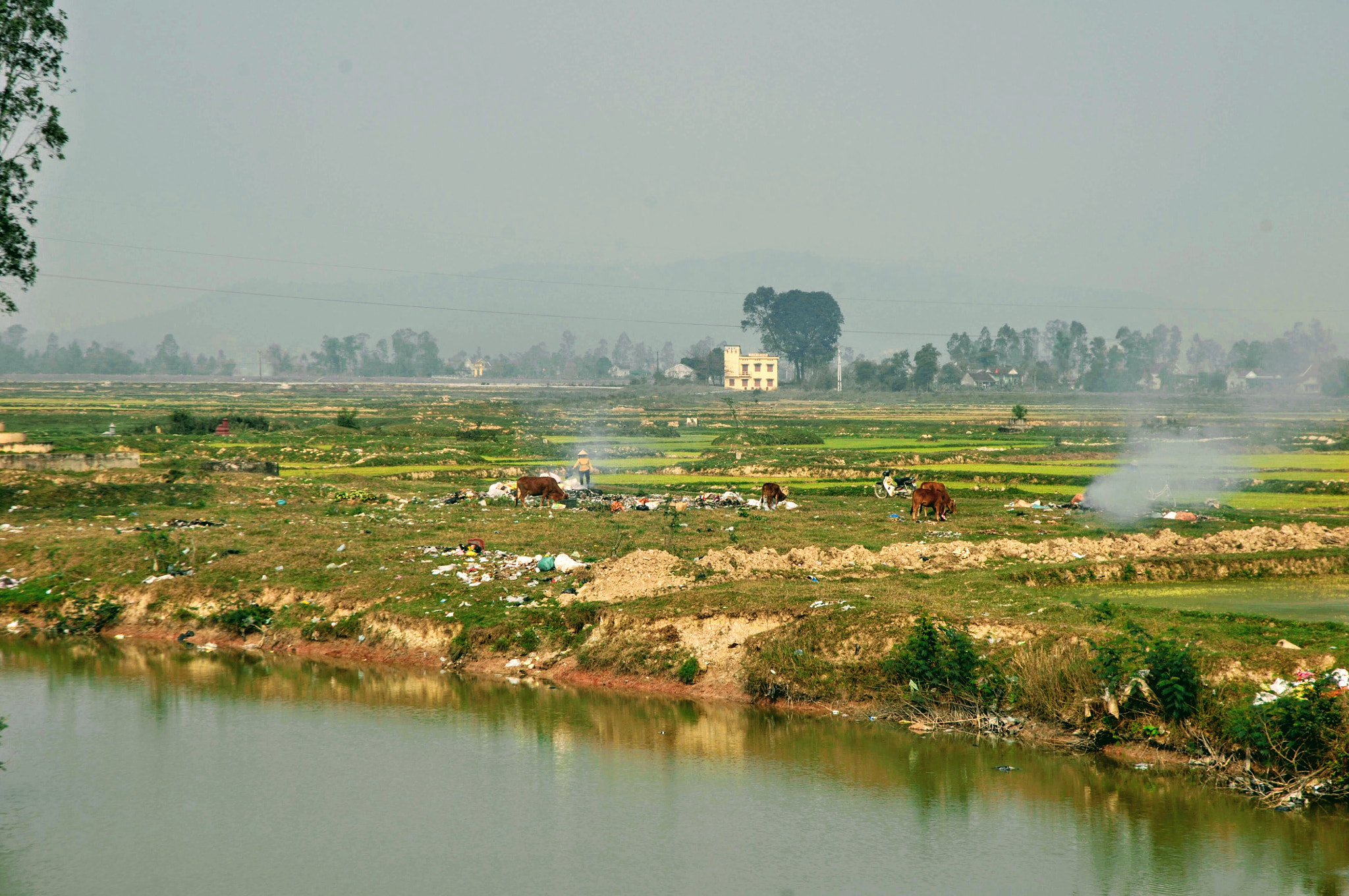 Nikon D2Xs sample photo. Nge an vietnam photography