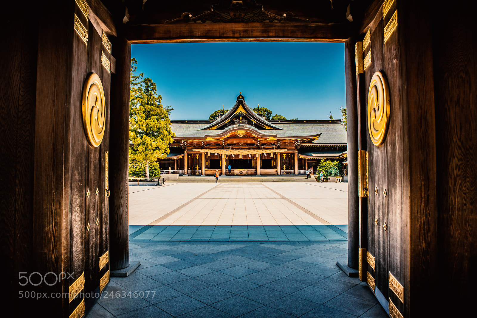 Nikon D810 sample photo. Shrine photography
