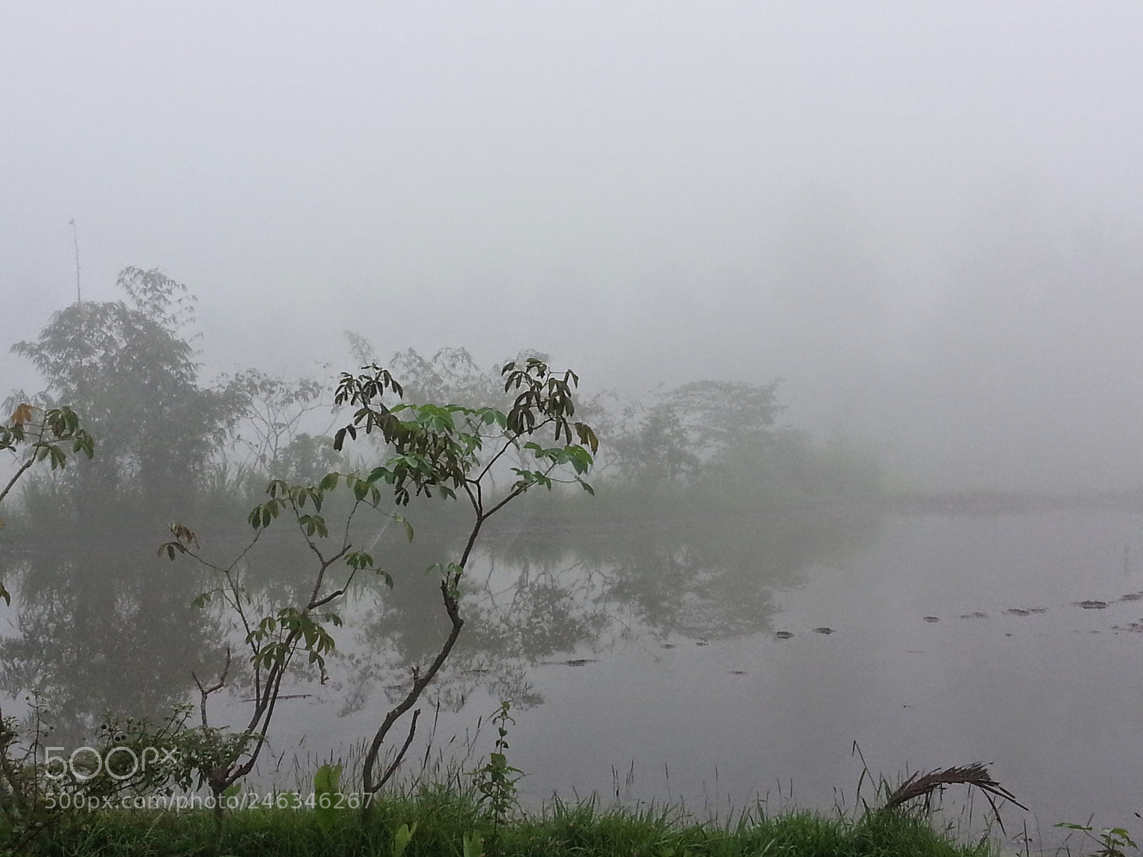 Samsung Galaxy Note2 sample photo. The mist... photography